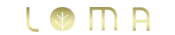 Lotus Innovation